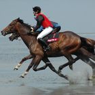 Kopf an Kopf - Duhner Wattrennen 2009