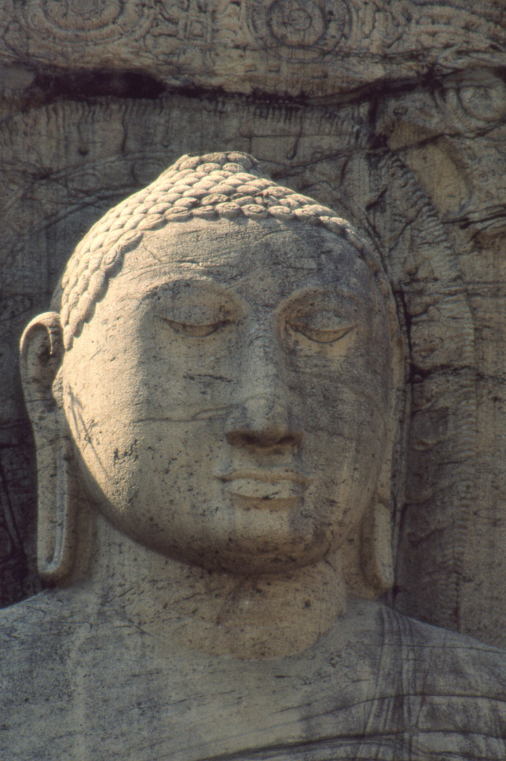 Kopf des sitzenden Buddhas in Gal Vihara - Sri Lanka 