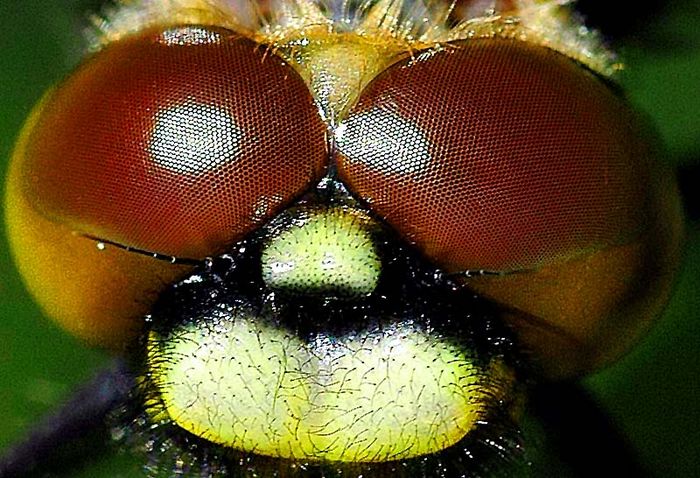 Kostenlos partner kennenlernen Kostenlos partner kennenlernen