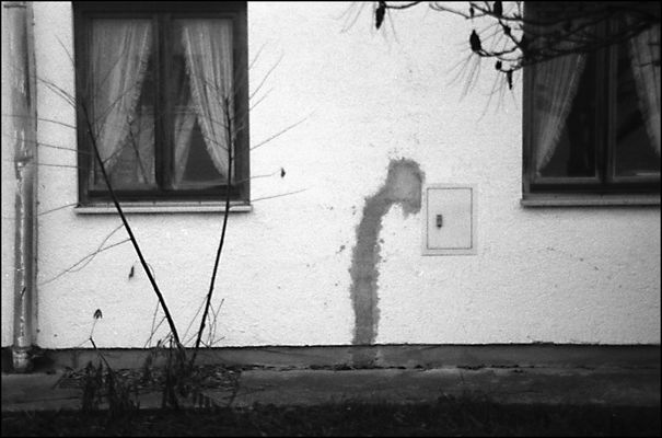 -Kopf hoch ,Kleiner -