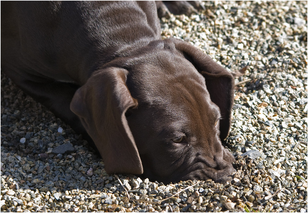 Kopf im Sand....