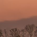 Kopf in den Wolken