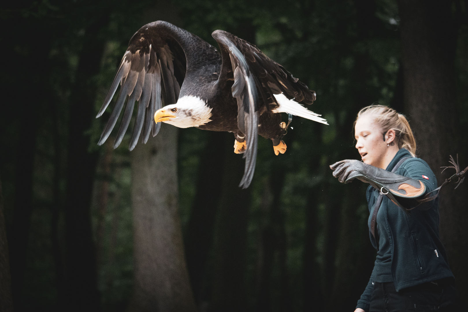 Kopf oder Adler - das alte Münzwurfspiel