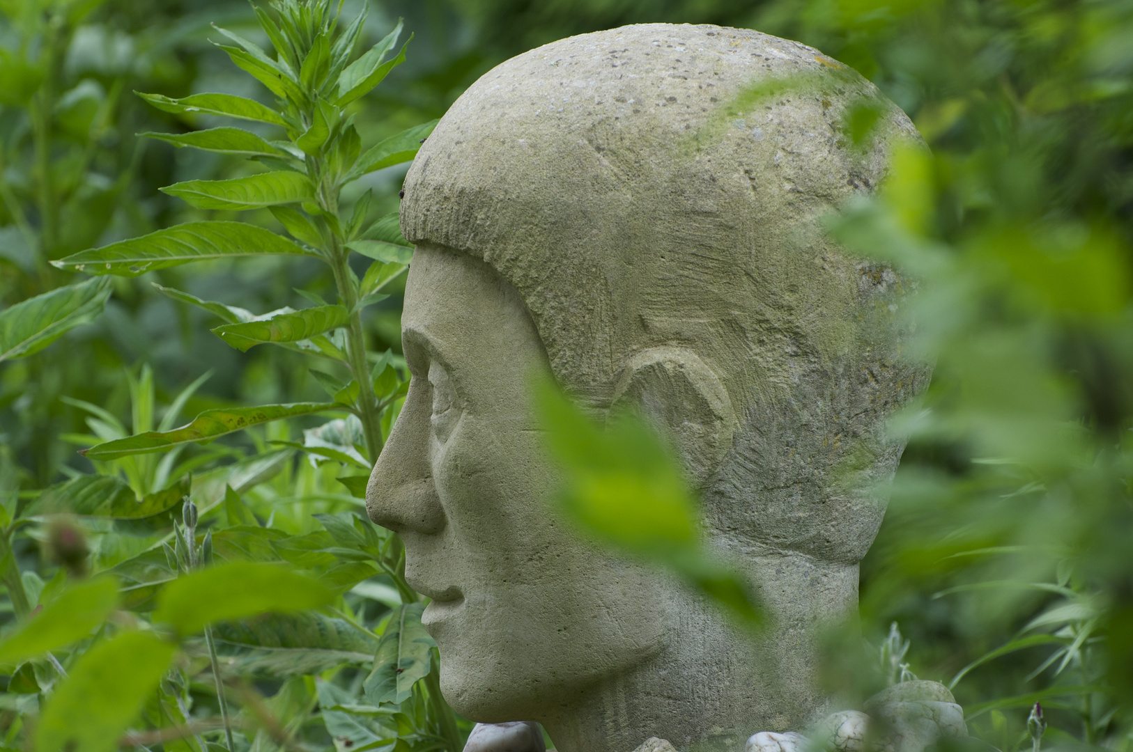 Kopf Sandstein im Märchengarten