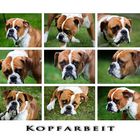 Kopfarbeit