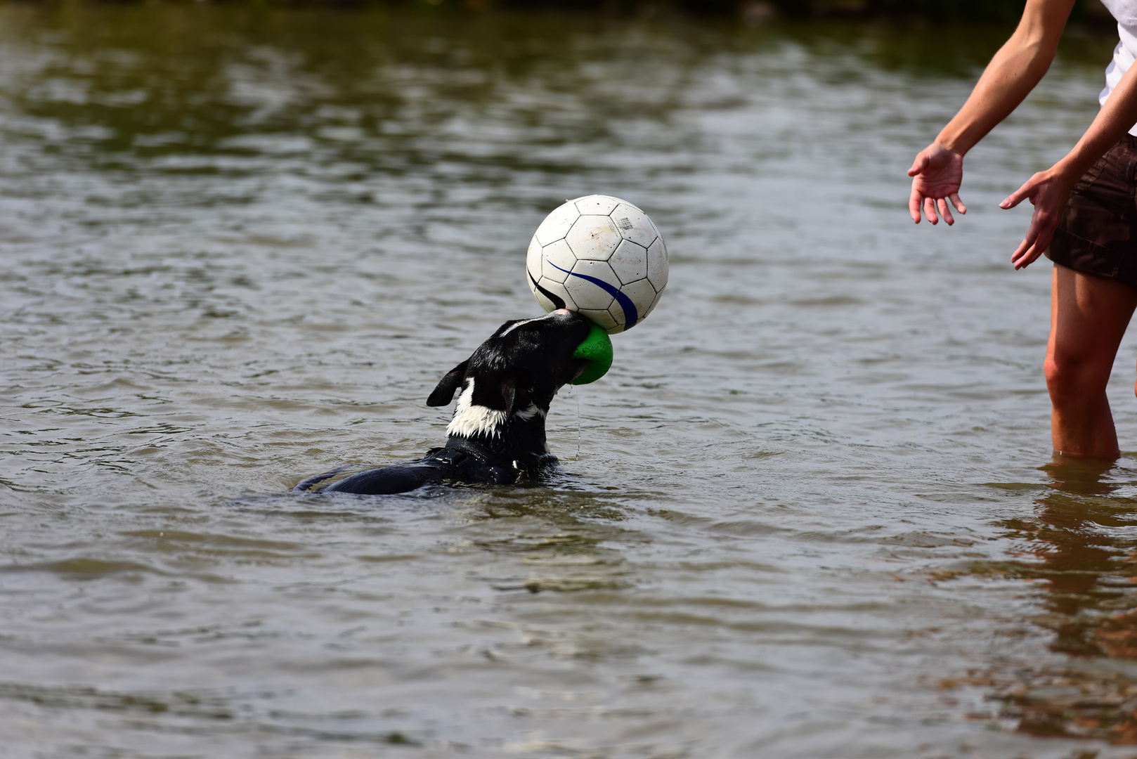 Kopfball training