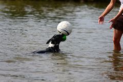 Kopfball training