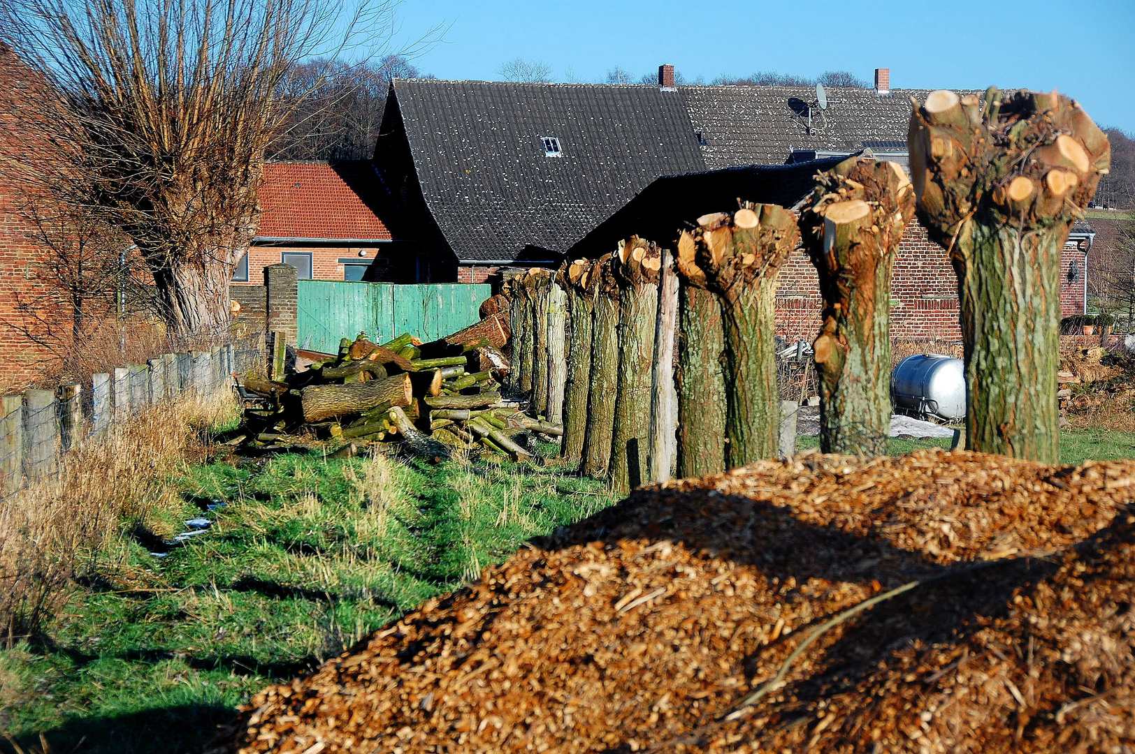 Kopflos am Niederrhein