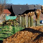 Kopflos am Niederrhein