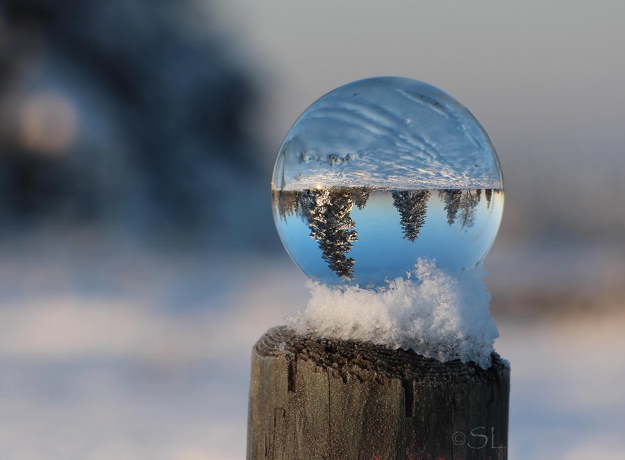 Kopfstand im Schnee