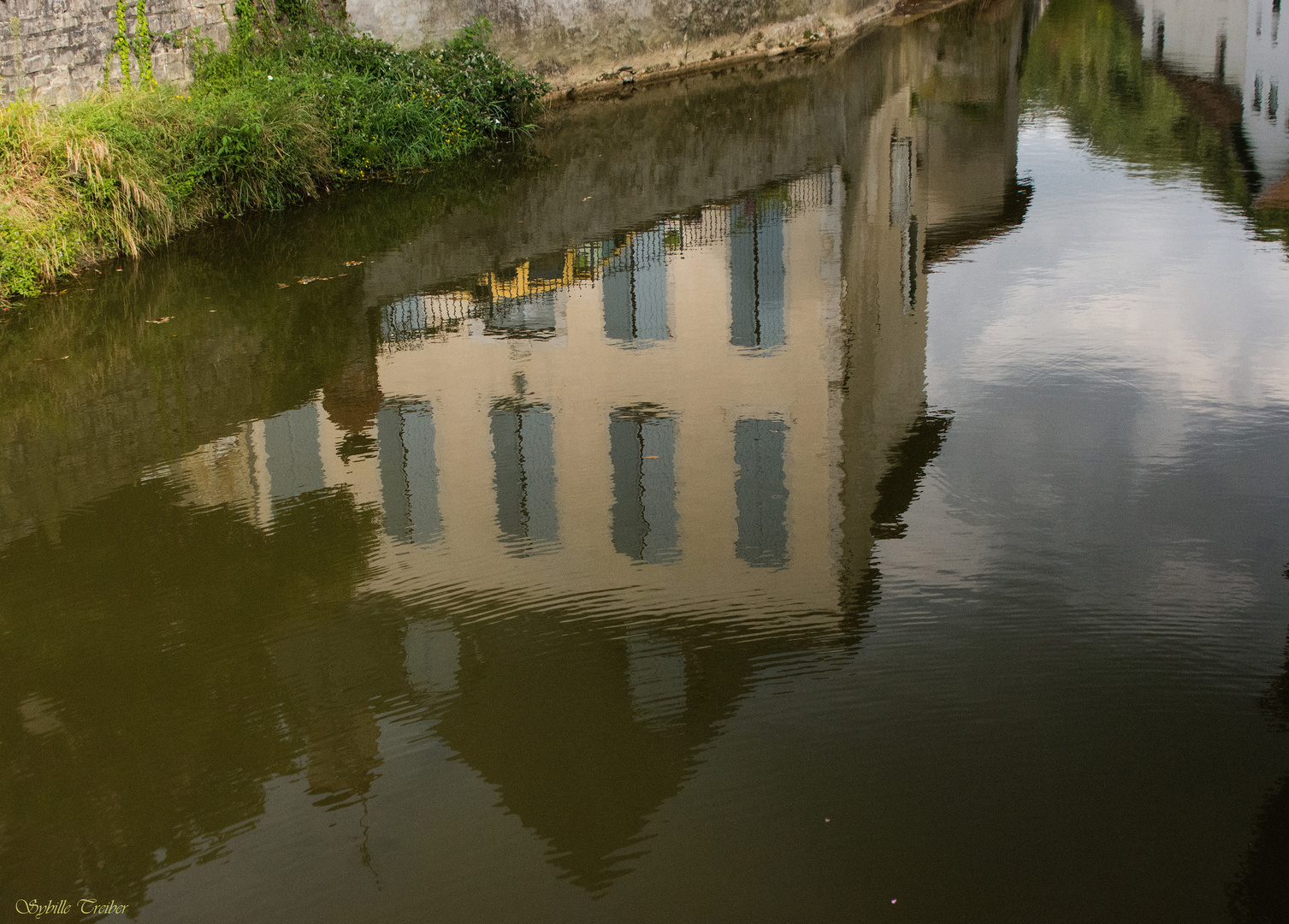 Kopfüber im Wasser