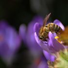 kopfüber in den "Frühling"