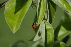 Kopfüber in den Sommer