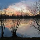 Kopfweiden bei der Abendmeditation