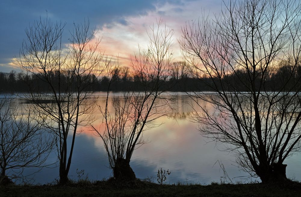 Kopfweiden bei der Abendmeditation