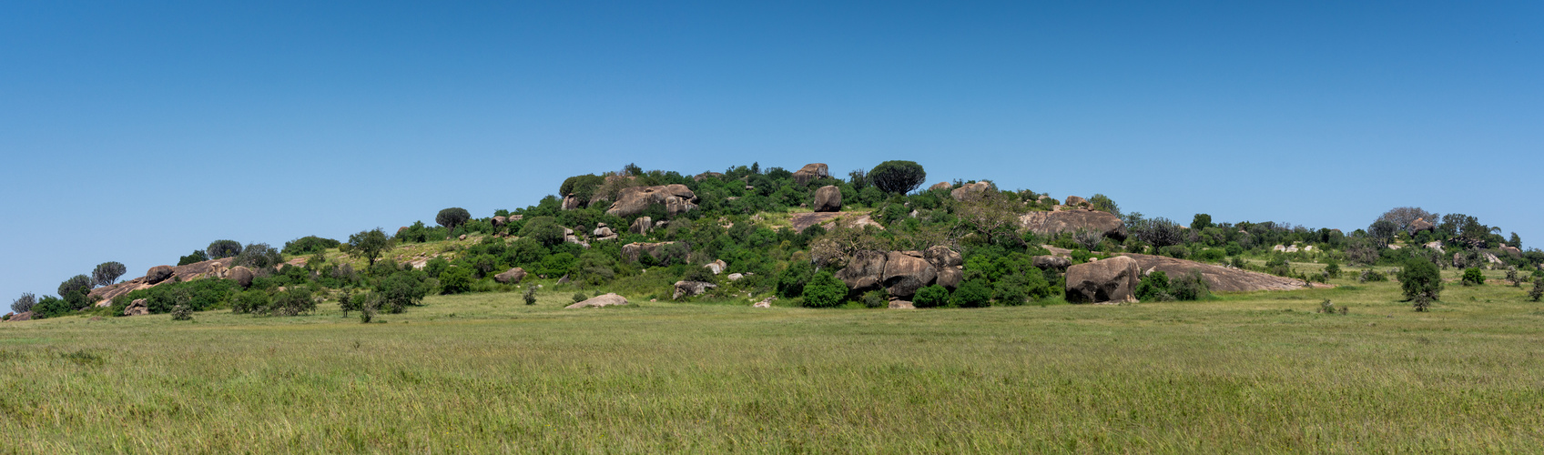 Kopje in der Serengeti