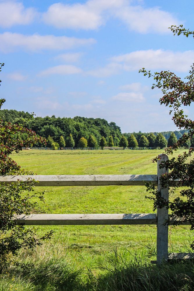 Koppel Foto & Bild | urlaub, blau, bäume Bilder auf fotocommunity