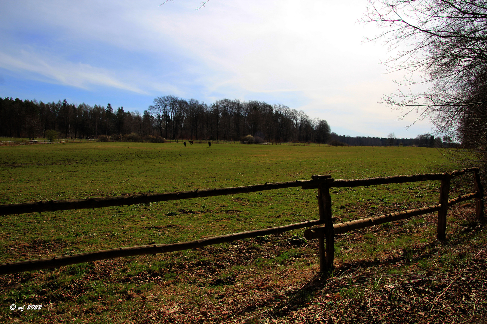 Koppel Foto & Bild | tiere, haustiere, landschaft Bilder auf fotocommunity