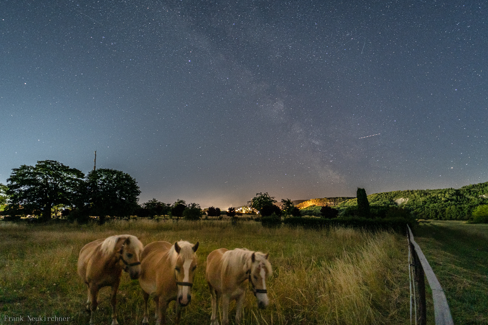 Koppel in der Nacht