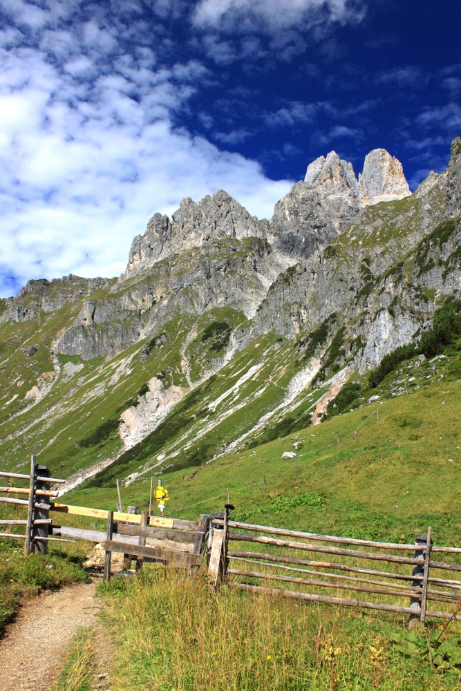 Koppel und Bischofsmütze