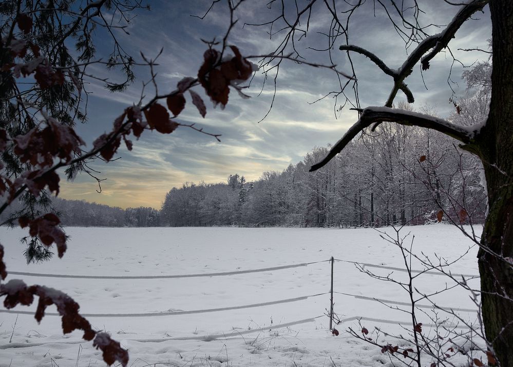 KoppelBlick