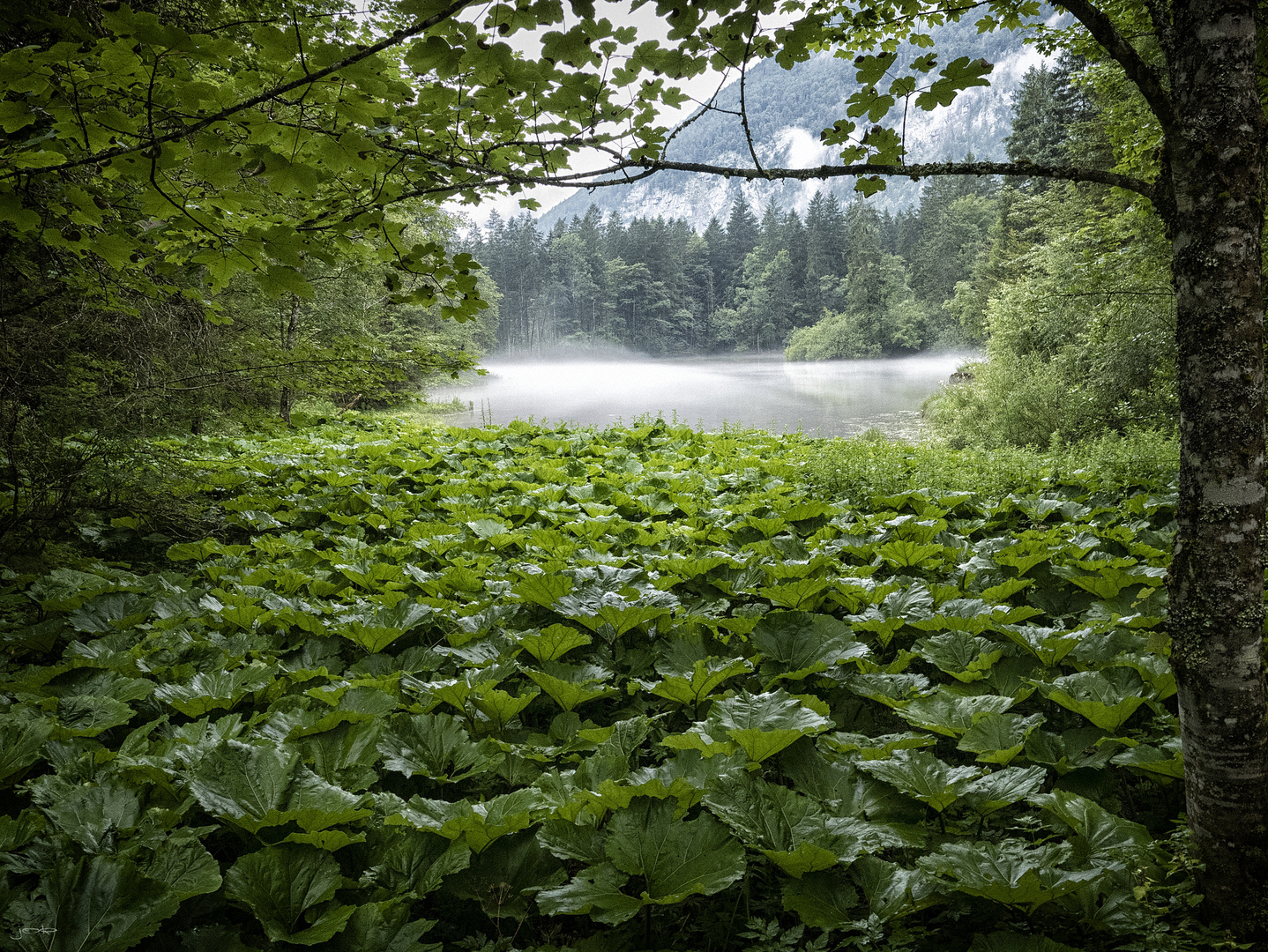 Koppenwinkelsee