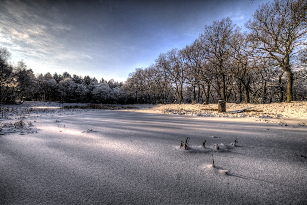Koppweiher im Eschweiler Stadtwald Foto & Bild jahreszeiten, winter
