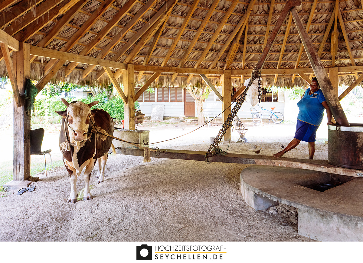 Kopramühle auf La Digue, L´Union Estate