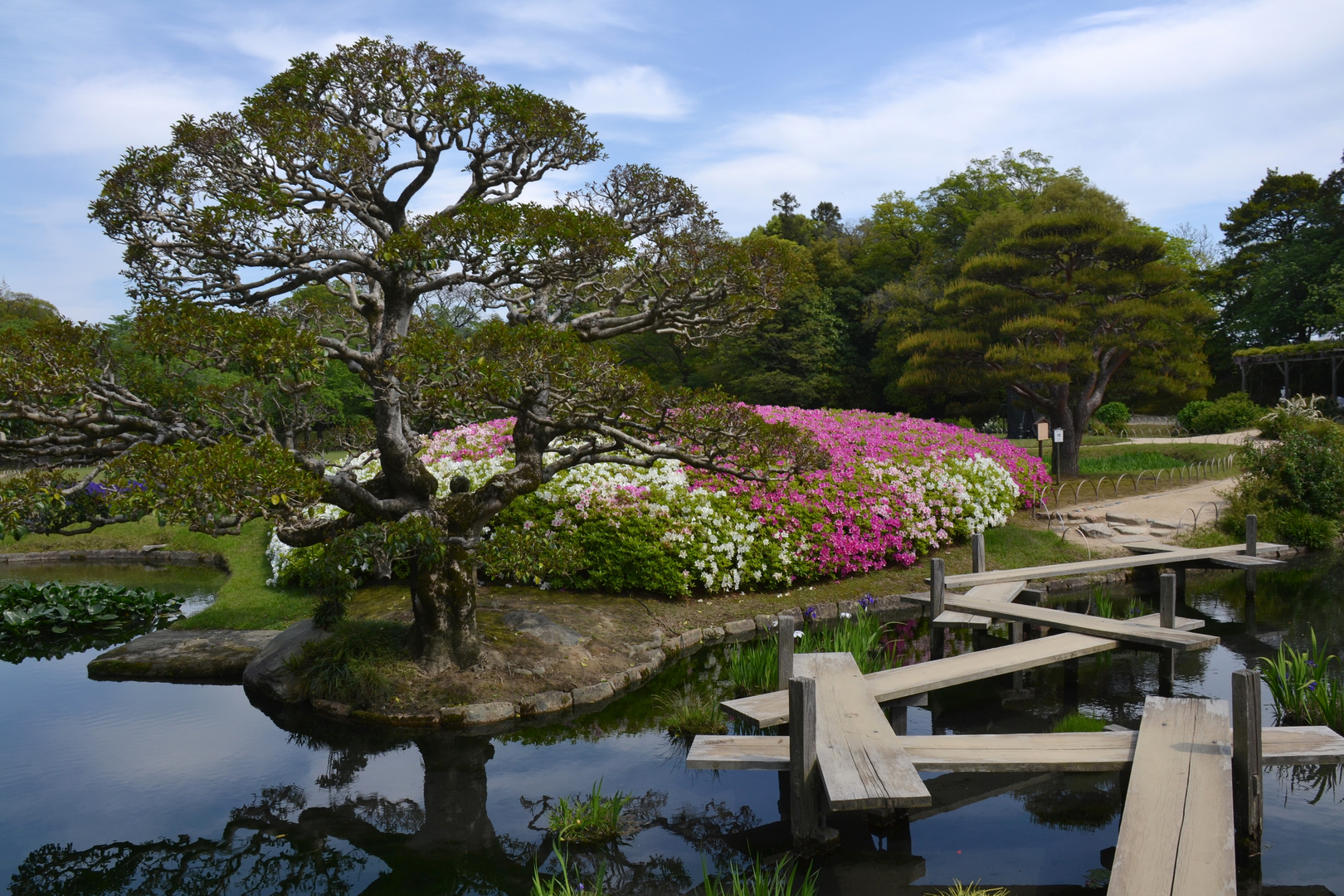 Korakuen-Garten - Yatsuhashi Brücke