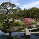 Korakuen-Garten - Yatsuhashi Brücke