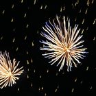 Korallen am Himmel - Feuerwerk zum Jahreswechsel