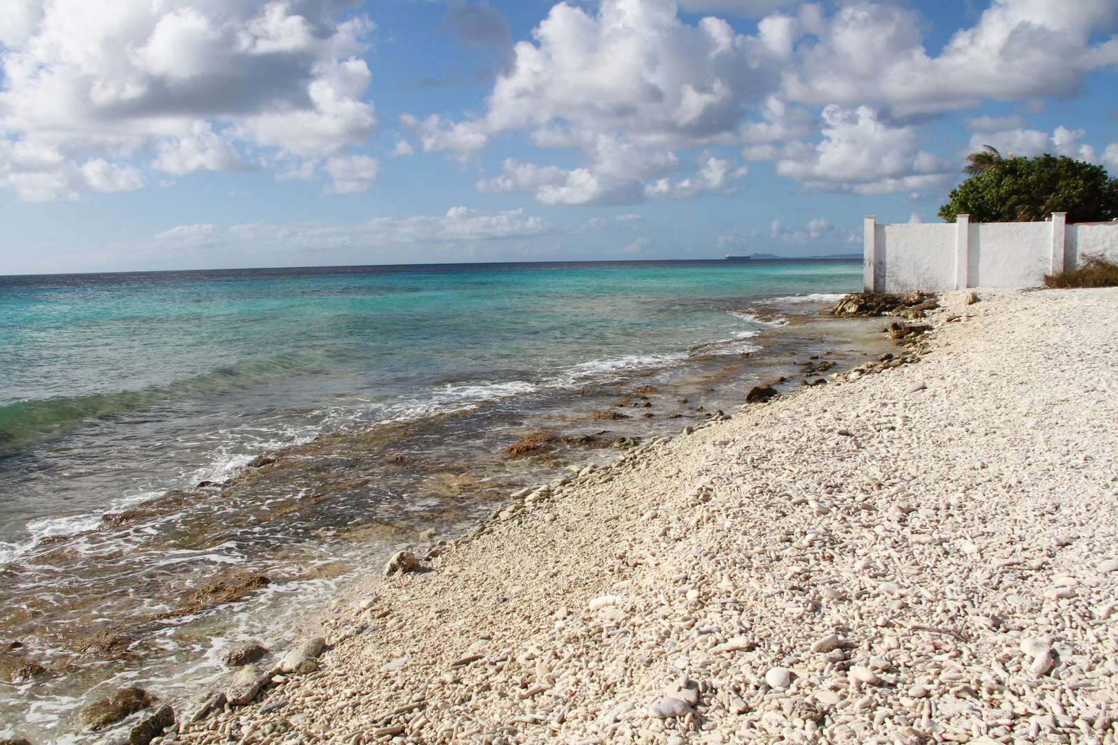 Korallen Küste von Bonaire