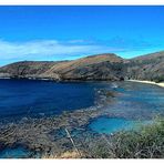 Korallen und Strand