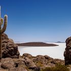 Koralleninseln auf dem Salar des Uyuni