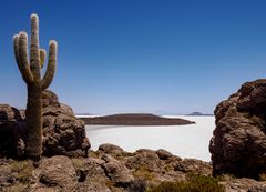 Koralleninseln auf dem Salar des Uyuni