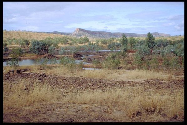 Korallenriff aus dem Davon