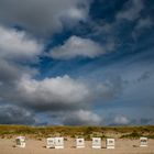 Korb "59" und Freunde auf Sylt