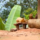 korb neben hund, dahinter bananenstaude, laos 2010