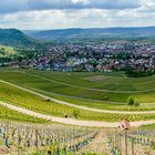 Korb und seine Weinberge