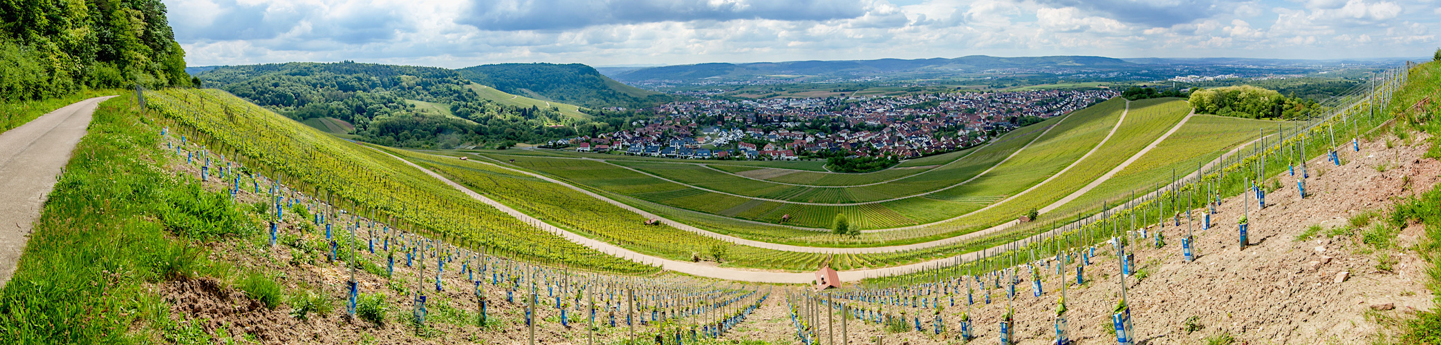 Korb und seine Weinberge