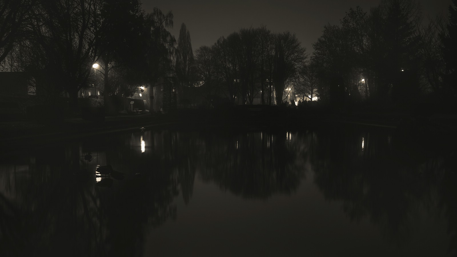 Korbacher Park bei Nacht