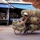 Korbtransport in Vietnam -Hanoi-