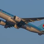 'Korean Air Cargo'