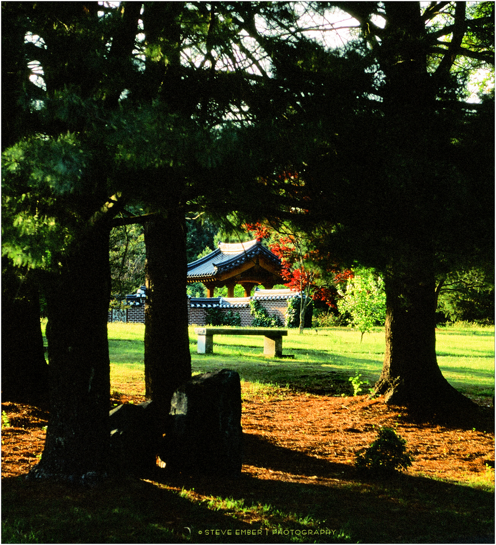 Korean Bell Garden - A Meadowlark Gardens Impression