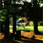 Korean Bell Garden - A Meadowlark Gardens Impression