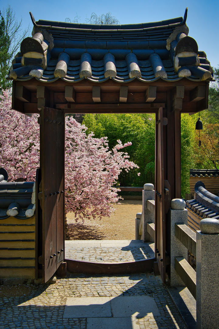 Koreanischer Garten (Bild 8) mit Durchblick 