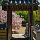 Koreanischer Garten (Bild 8) mit Durchblick 