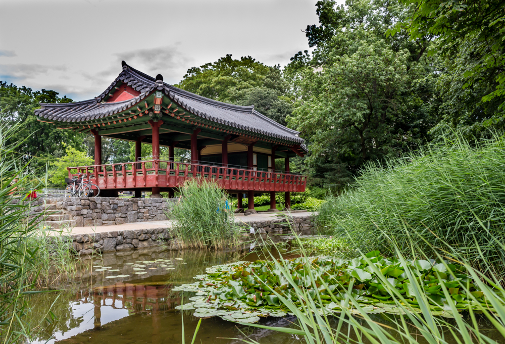 Koreanischer Garten Frankfurt Foto Bild Wasser Teich Natur
