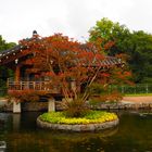 Koreanischer Garten im Herbst...Frankfurt 