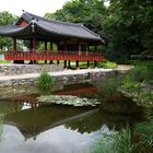 Koreanischer Garten in FFM 02